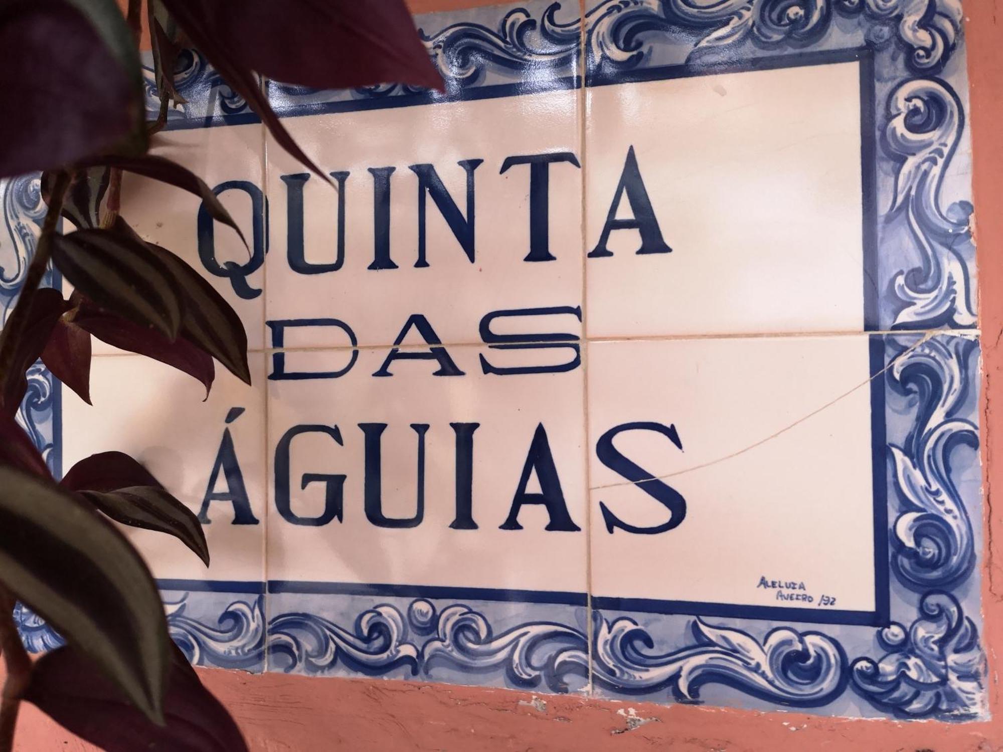 Quinta Das Aguias Aveiro Exterior foto