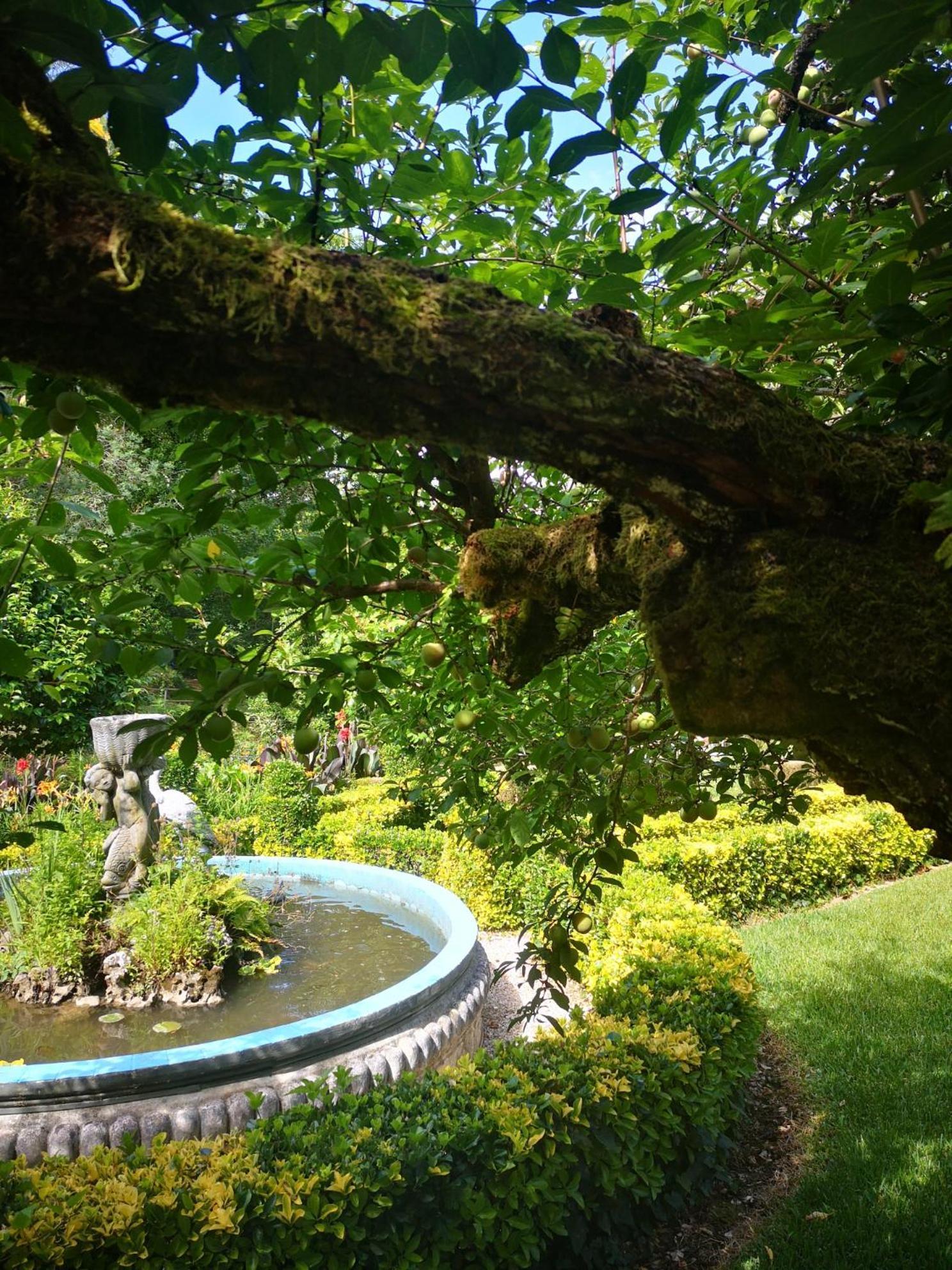 Quinta Das Aguias Aveiro Exterior foto